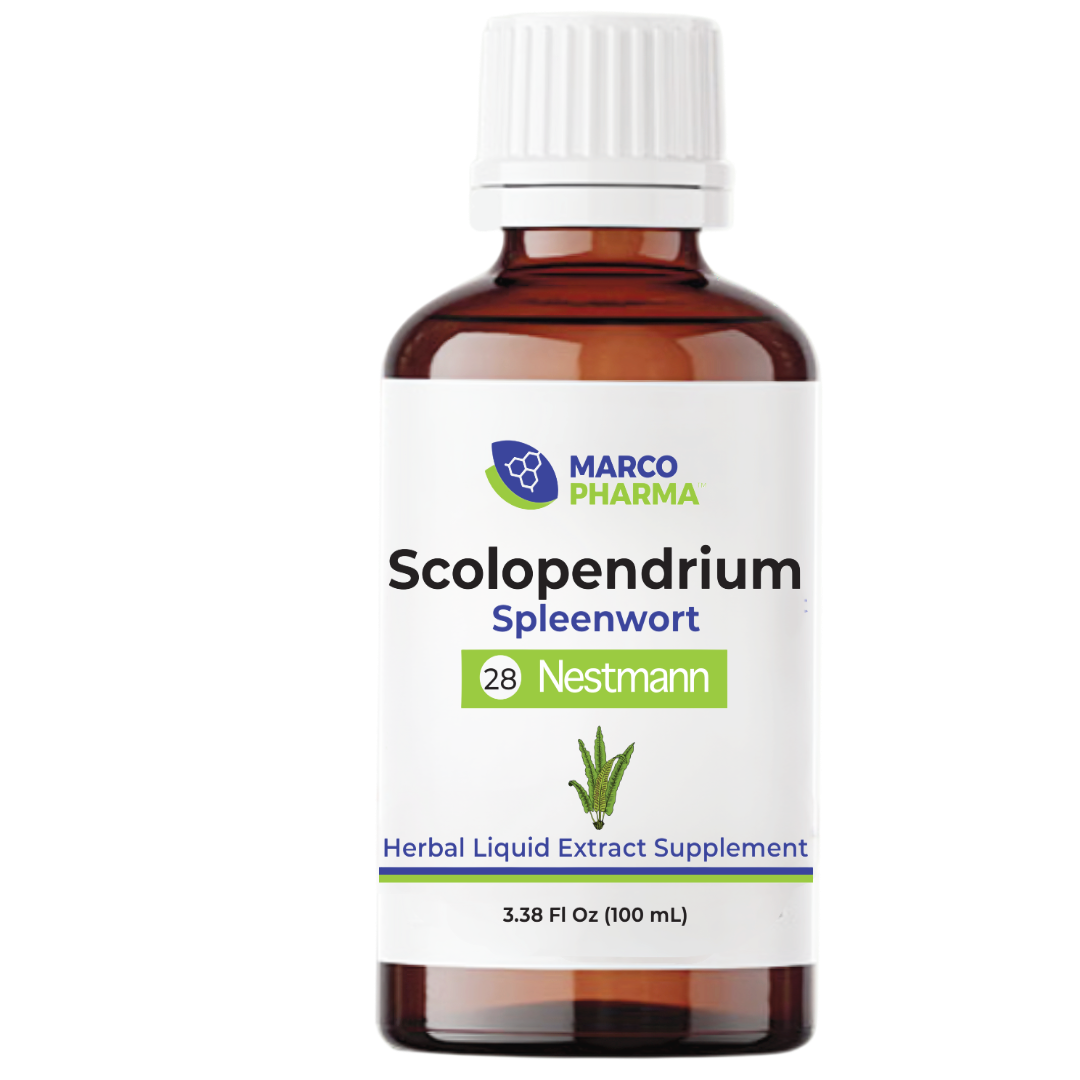 Scolopendrium No. 28