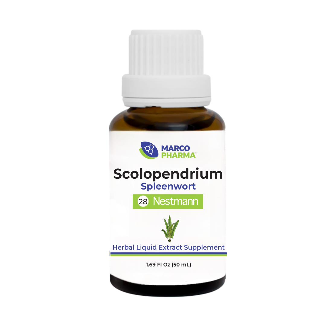 Scolopendrium No. 28