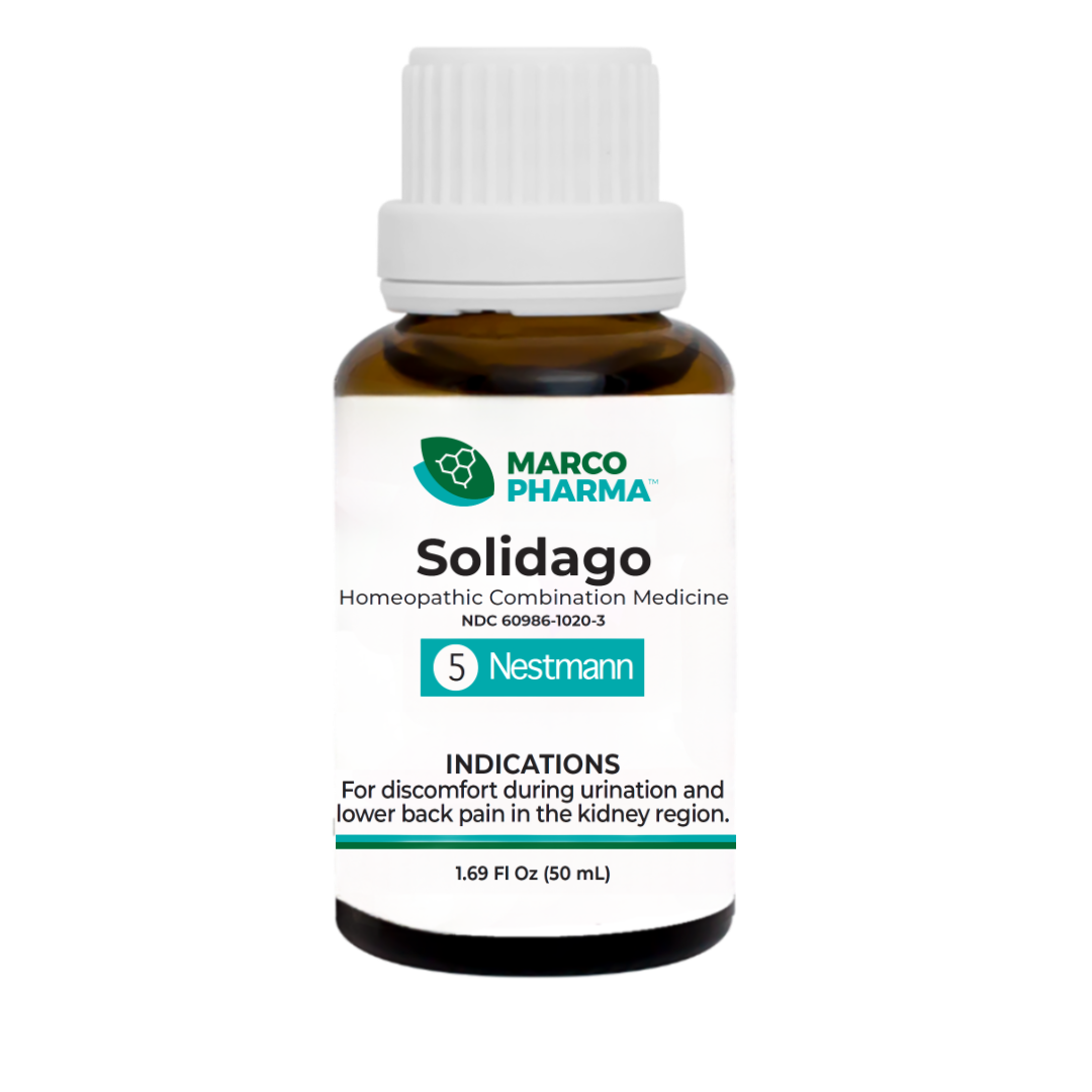 Solidago No. 5