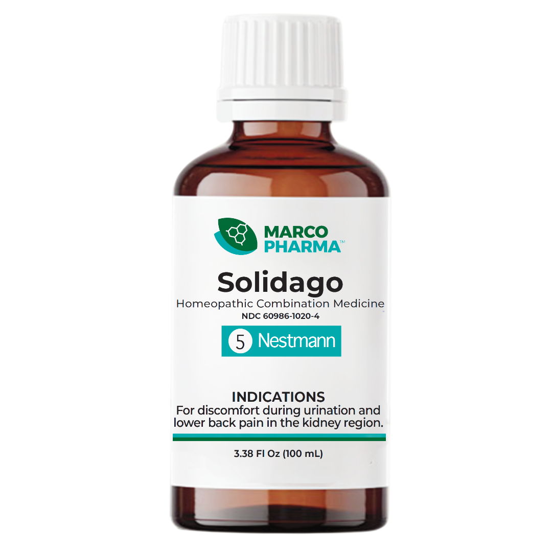 Solidago No. 5
