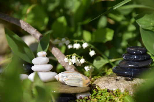 What Is NEPROTEC? Let’s Explore This Vegan Nutritional Supplement